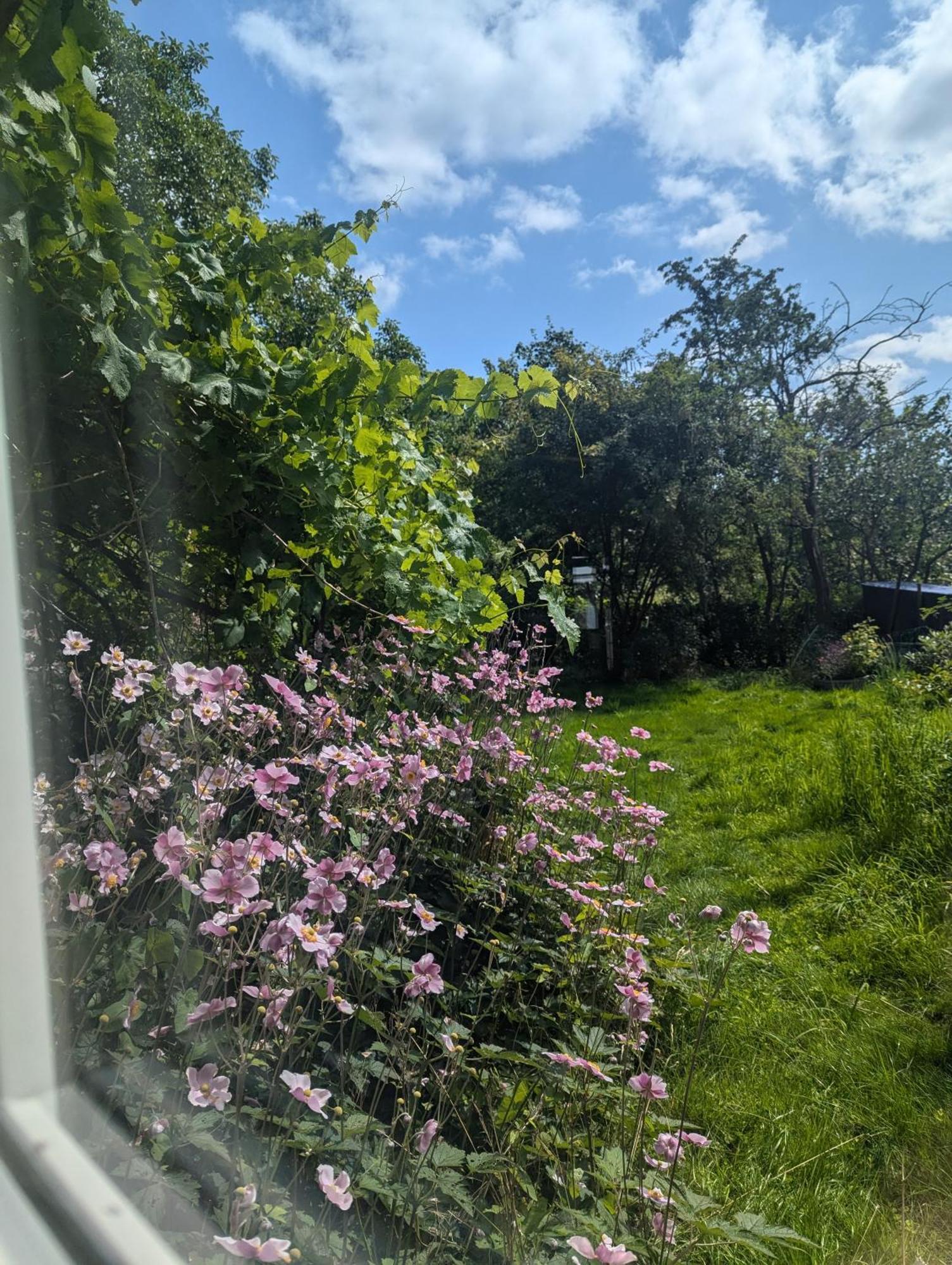 Lejlighed Ved Skov Graested Luaran gambar