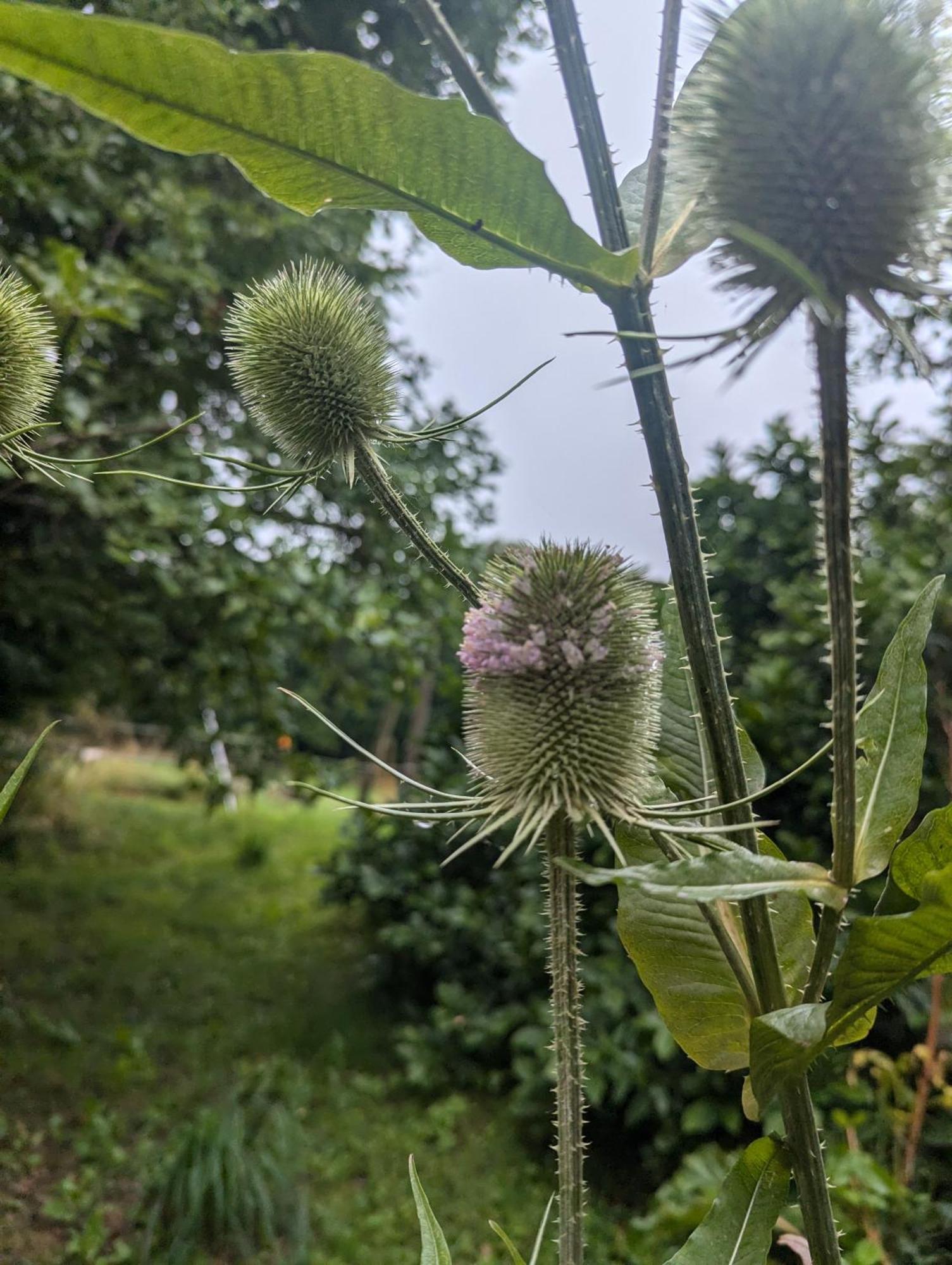 Lejlighed Ved Skov Graested Luaran gambar