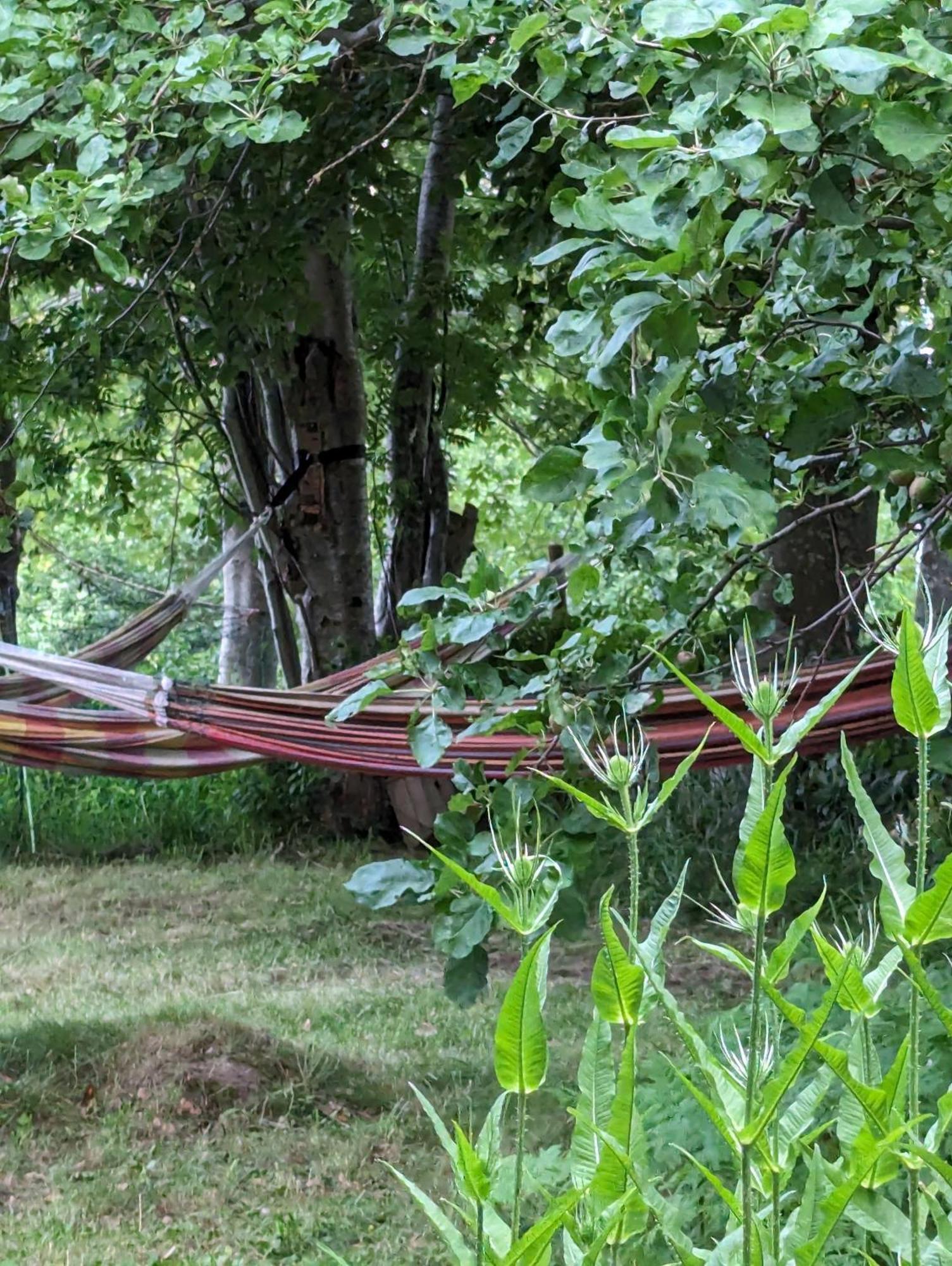 Lejlighed Ved Skov Graested Luaran gambar
