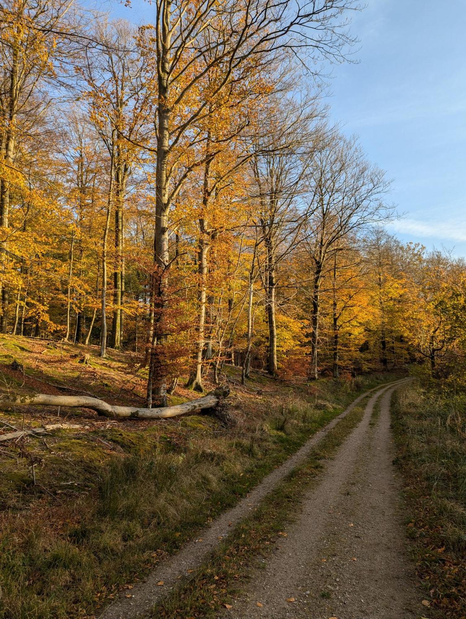 Lejlighed Ved Skov Graested Luaran gambar